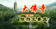 日比的视頻中国浙江-新昌大佛寺旅游风景区
